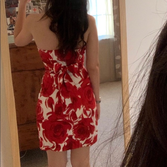 Snap Dress - Picture 2 of 4